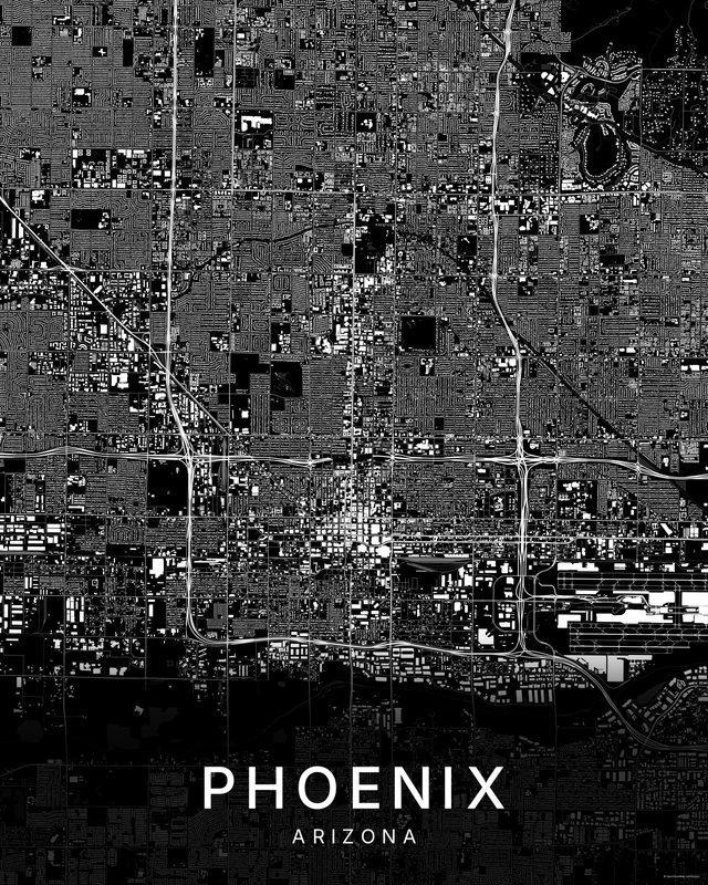 Phoenix map print, Dark colorway
